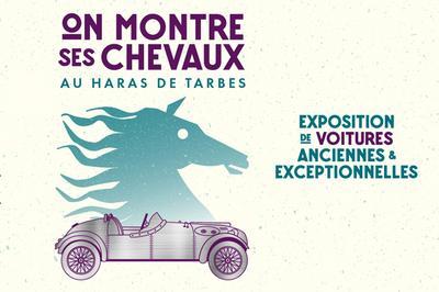 Exposition On montre ses chevaux  Tarbes