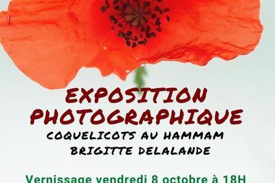 Exposition photographique : Coquelicots au Hammam  Rennes