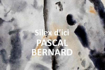 Exposition - Silex d'ici, Pascal Bernard  Margny les Compiegne