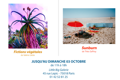 Exposition Sunburn & Fictions Vegetales  Paris 18me