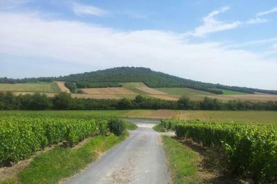 Exposition sur l'histoire du Mont-Aim  Bergeres les Vertus