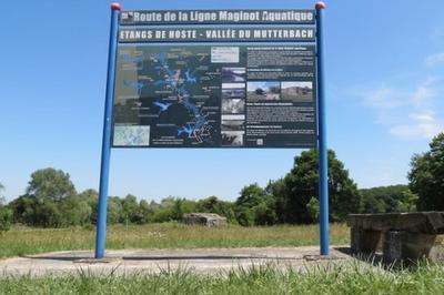 Exposition Sur La Ligne Maginot Aquatique : Dcouverte D'un Systme Unique De Siphons  Hoste
