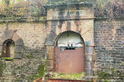 Exposition sur les cervids dans un fort dfensif typique du XIXe sicle  Pouxeux