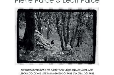 Exposition Paysages en vie - photographies de Pierre Parc et de Lon Parc  Collioure