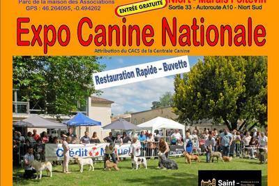 Exposition Canine Nationale  Saint Symphorien