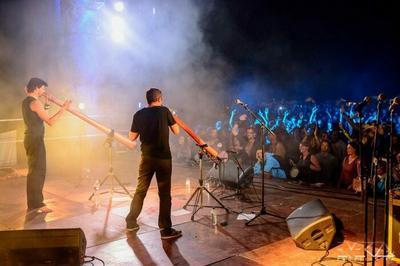 Expositions, concerts et contes se mlent au muse de la Loire  Cosne Cours sur Loire