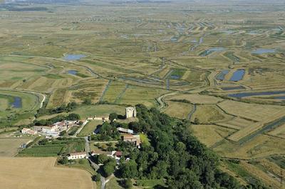 Expositions permanentes et temporaires  Saint Sornin