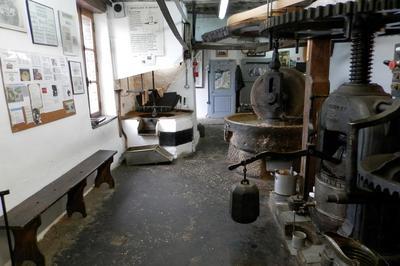 Fabrication d'huiles de noix et noisettes à Neuville sur Ain