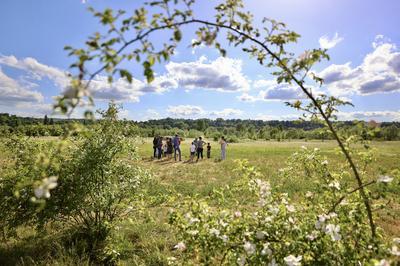 Faune, flore et rchauffement climatique  Carrieres Sous Poissy