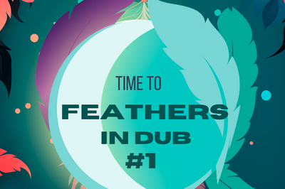 Feathers In Dub #1 Bandikoot in Dub Ksanti Concert  Roubaix