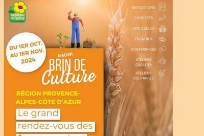 Festival Brin de Culture 2025