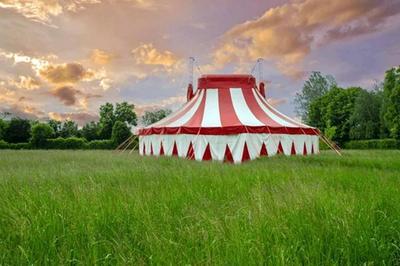 Festival du Cirque Actuel 2025