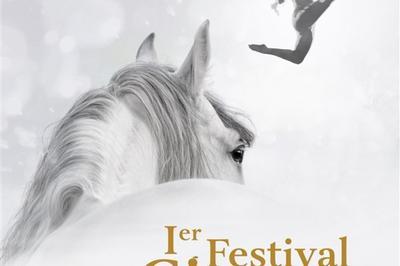 Festival Du Cirque De Caen