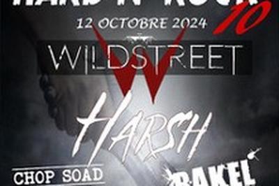 Festival Hard'N Rock : Wildstreet-Harsh-Chop Soad-Rake  Notre Dame de Gravenchon