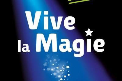 Festival International Vive La Magie  Carquefou