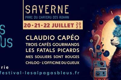 Festival Les Alpagas Bleus 2024