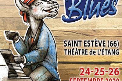 Festival Sem Le Blues  Saint Esteve