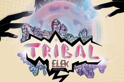 Festival Tribal Elek 2025