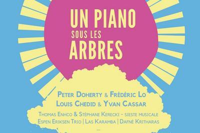 Festival Un Piano sous les arbres 2023 Lune Viel programme des concerts