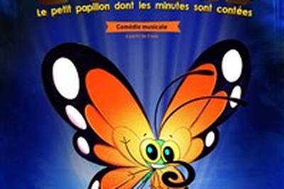 Flash, le petit papillon dont les minutes sont contes  Avignon