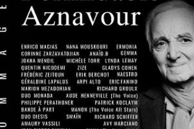 Formidable Aznavour  Marseille