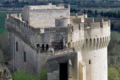 Fort Saint-Andre  Villeneuve les Avignon