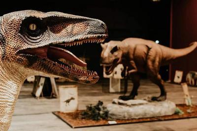 Gouvier Expo : dinosaures, fossiles et prhistoire  La Roche sur Yon