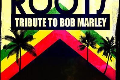 Happy roots, tribute to Bob Marley  Saint Vallier de Thiey