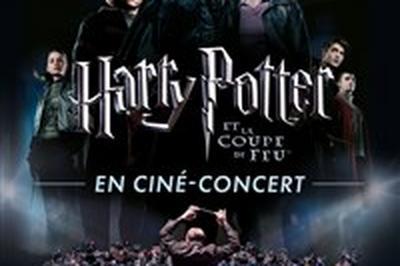 Harry Potter et la coupe de Feu en cin-concert  Lille