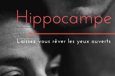 Hippocampe  Lyon