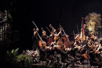 Hommage  Gabriel Faur  Saint Jean de Luz