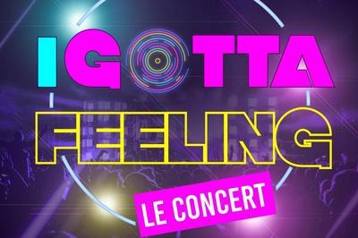 I Gotta Feeling - Le Concert  Rouen