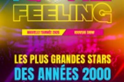 I Gotta Feeling, La Tourne des Annes 2000  Lyon