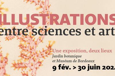 Illustrations, entre sciences et art  Bordeaux