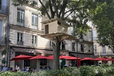Tree Huts à Montpellier
