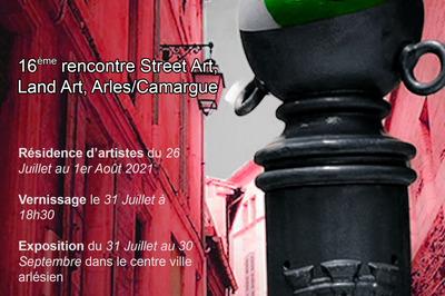 In Situ1.6: 16e Rencontre de cration Street Art, Land Art. Arles/ Camargue.
