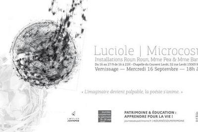Installations Artistiques - Luciole / Microscosm'  Marseille