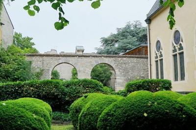 Invitation À dessiner les plantes et les arbres du jardin du musée à Reims