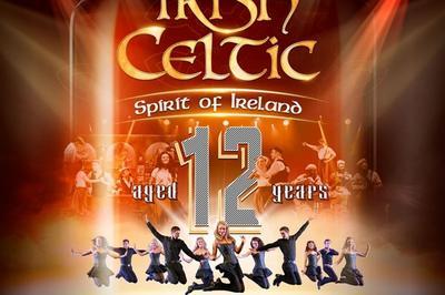 Irish celtic, spirit of ireland aged 12 years  Paris 9me