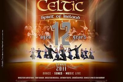 Irish Celtic Spirit of Ireland  Toulouse