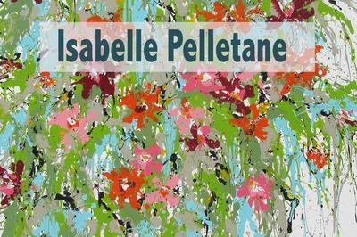 Isabelle Pelletane exposition  Poitiers