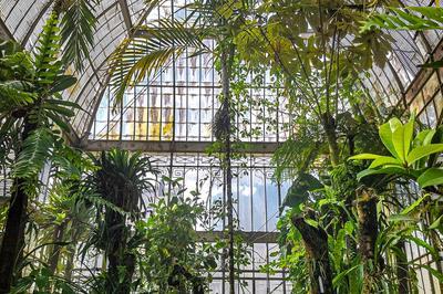 Jardin des Plantes : Le Chant du Palmarium  Nantes