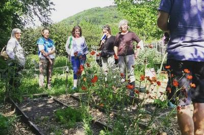 Jardin méditerranéen : une gestion durable aux multiples vertus à Lodeve