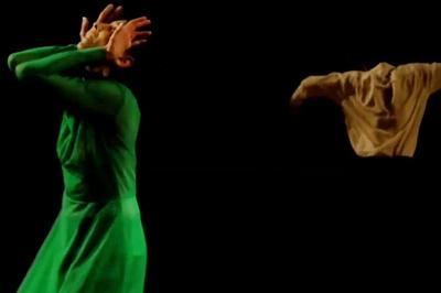 Jemp - dança em transito (festival brésilien) - vertigem de paulo emilio azevedo et paz e amor de marcia milhazes à Paris 20ème