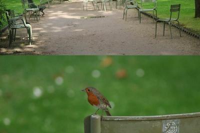 Jep 2023, marche photographique au jardin du Luxembourg  Paris 6me