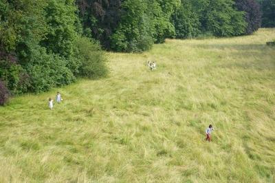 Jeu de piste  la dcouverte du parc de la Fondation des Artistes  Nogent sur Marne