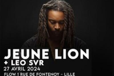 Jeune Lion Et Leo Svr  Lille