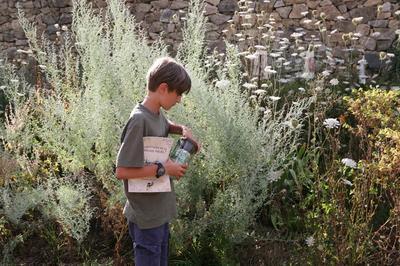 Jeux d'nigme sur la biodiversit et les bonnes pratiques au jardin  Aixe sur Vienne