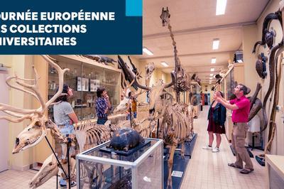 Journe Europenne des Collections Universitaires  Rennes