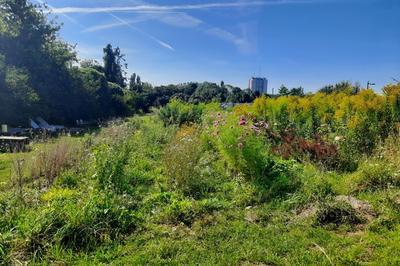 Journes du Matrimoine, Visite ferme florale  Montreuil